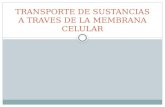 TRANSPORTE DE SUSTANCIAS A TRAVES DE LA MEMBRANA CELULAR