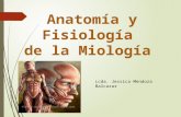 Anatomía y Fisiología  de la Miología