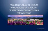 “ORIGEN FLORAL DE MIELES PRODUCIDAS EN GALICIA”. “ESPECTROS POLINICOS MÁS FRECUENTES”.