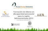 Formación  de líderes en discapacidad psicosocial para la región latinoamericana  2013