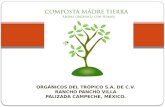ORGÁNICOS DEL TRÓPICO S.A. DE C.V. RANCHO PANCHO VILLA PALIZADA CAMPECHE, MÉXICO.