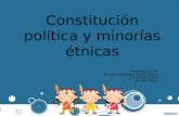 Constitución política y minorías étnicas