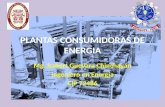 PLANTAS CONSUMIDORAS DE ENERGIA