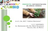 Proyecto:  Reforestación de áreas verdes