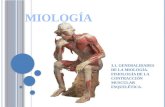3.1. GENERALIDADES DE LA MIOLOGÍA. FISIOLOGÍA DE LA CONTRACCIÓN MUSCULAR ESQUELÉTICA.