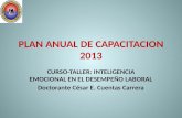 PLAN ANUAL DE CAPACITACION 2013