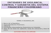 ENTIDADES DE VIGILANCIA, CONTROL Y GARANTÍA DEL SISTEMA FINANCIERO COLOMBIANO