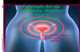 Fisiología del eje  Hipotálamo -Hipófisis - Ovario Ciclo Menstrual