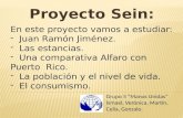 Proyecto Sein: