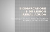 BIOMARCADORES DE LESION RENAL AGUDA