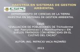 M AESTRIA EN SISTEMAS DE GESTION AMBIENTAL