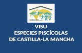 VISU  ESPECIES PISCÍCOLAS  DE CASTILLA-LA MANCHA