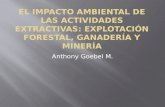 El impacto ambiental de las actividades extractivas: explotación forestal, ganadería y minería