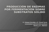 Producción  de  Enzimas por Fermentación sobre substratos sólido