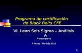 Programa de certificación  de Black  Belts CFE
