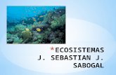 ECOSISTEMAS J. SEBASTIAN J. SABOGAL