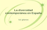 La  diversidad contemporánea  en  España
