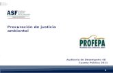 Cuenta Pública  2011