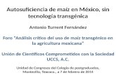 Autosuficiencia de maíz en México, sin tecnología transgénica Antonio Turrent Fernández