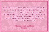 María José Vallejo López