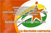 DIRECCION OPERATIVA DE PROTECCION SOCIAL Y BIENESTAR CIUDADANO
