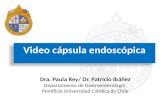 Video cápsula endoscópica