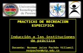 PRACTICAS DE RECREACION ESPECIFICA Inducción a las instituciones de práctica
