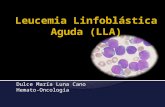Leucemia  Linfoblástica  Aguda (LLA)