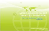 Visión Empresarial del Desarrollo Sostenible