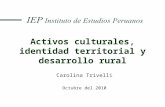 Activos culturales, identidad territorial y desarrollo rural