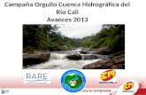 Campaña Orgullo Cuenca Hidrográfica del Rio Cali Avances 2013