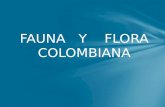 FAUNA   Y    FLORA COLOMBIANA