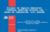 Estudio de Impacto Ambiental  “ TERMINAL MARÍTIMO OCTOPUS LNG, BAHÍA DE CONCEPCIÓN, VIII REGIÓN ”