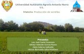 Universidad Autónoma Agraria Antonio Narro U.L.