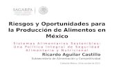 Riesgos y  Oportunidades para  la  Producción de Alimentos en  México