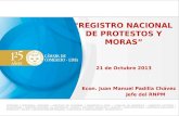 “ REGISTRO NACIONAL DE PROTESTOS Y MORAS” 21 de  Octubre 2013