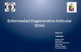 Enfermedad Degenerativa Articular  ( EDA)
