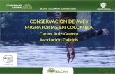 CONSERVACIÓN DE AVES MIGRATORIAS EN COLOMBIA Carlos Ruiz-Guerra Asociación Calidris