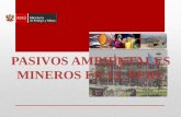 PASIVOS AMBIENTALES MINEROS EN EL PERU
