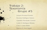 Trabajo 2: Taxonomía          Grupo #5
