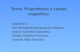 Tema: Magnetismo y campo magnético.