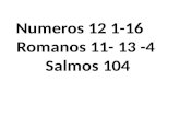 Numeros 12 1-16    Romanos 11- 13 -4   Salmos  104