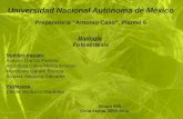 Universidad Nacional  Autónoma  de  México Preparatoria  "Antonio Caso", Plantel  6 Biología