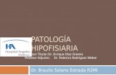 Patología  hipofisiaria