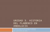 Unidad 3. Historia del Flamenco en Andalucía