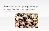 Hemostasia: plaquetas y coagulación sanguínea.