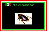 “La cucaracha”