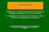 PREVEXPO 2008 Huelva 24-26 Septiembre 2008 Problemas y Perspectivas de la Prevención de Riesgos Laborales en el Sector Primario