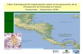 Taller Subregional de Capacitación sobre la Incorporación de la  Perspectiva de Etnicidad en Salud Guatemala – Septiembre 2009 .