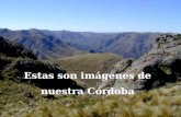 Estas son imágenes de nuestra Córdoba